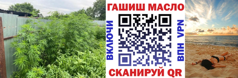 что такое   Тюмень  ТГК гашишное масло 