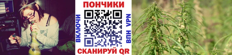 Марихуана индика  мега ссылка  Тюмень 
